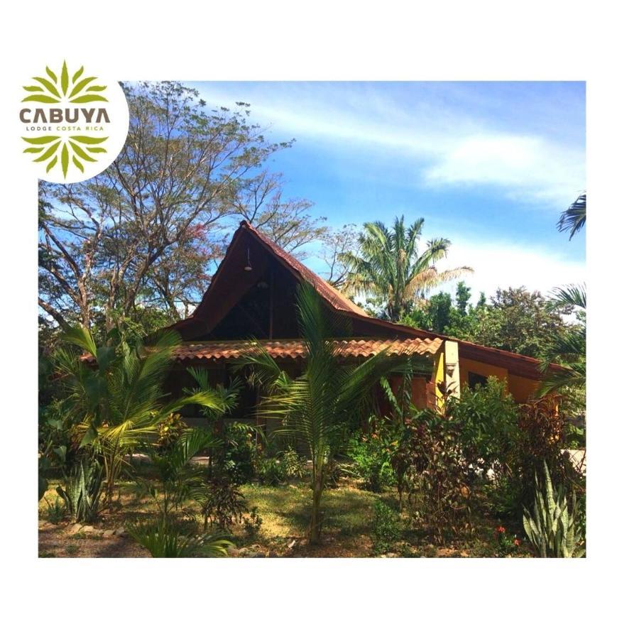 Cabuya Lodge Esterno foto